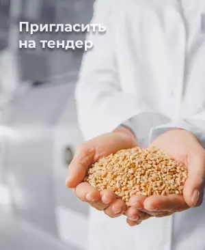 Мука